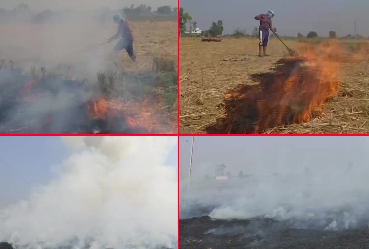 Farmers continue to burn stubble in their fields, visuals from Ghari Mandi in Punjab