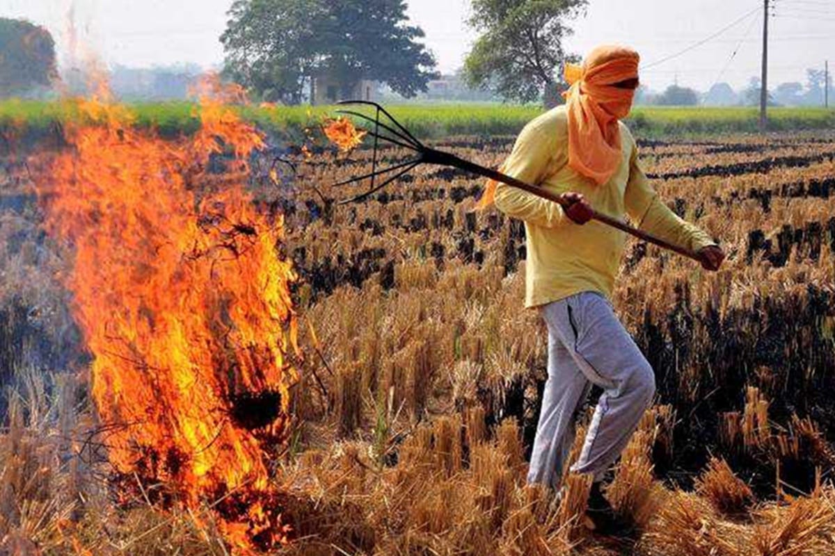 Free spreading of Bio decomposer to start in Delhi from Fatehpur Jat village