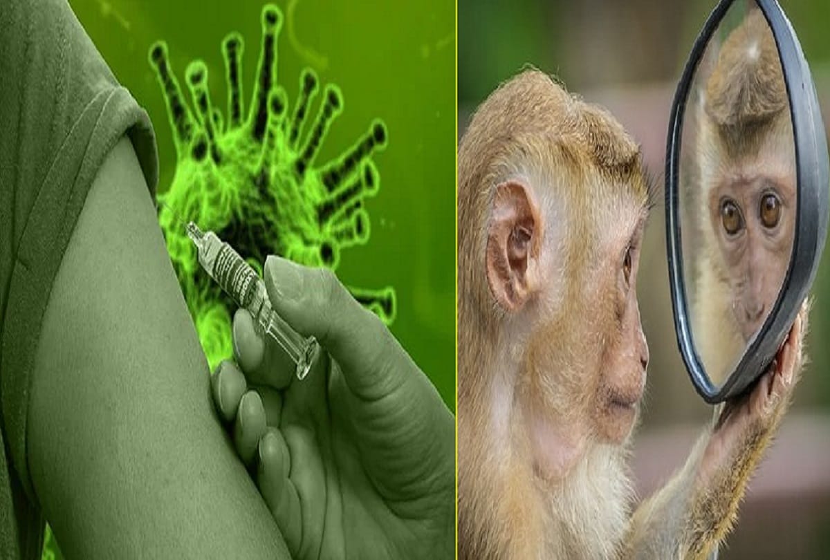 Social media fake news spreads in Russia claiming Oxford coronavirus vaccine will turn people into monkeys