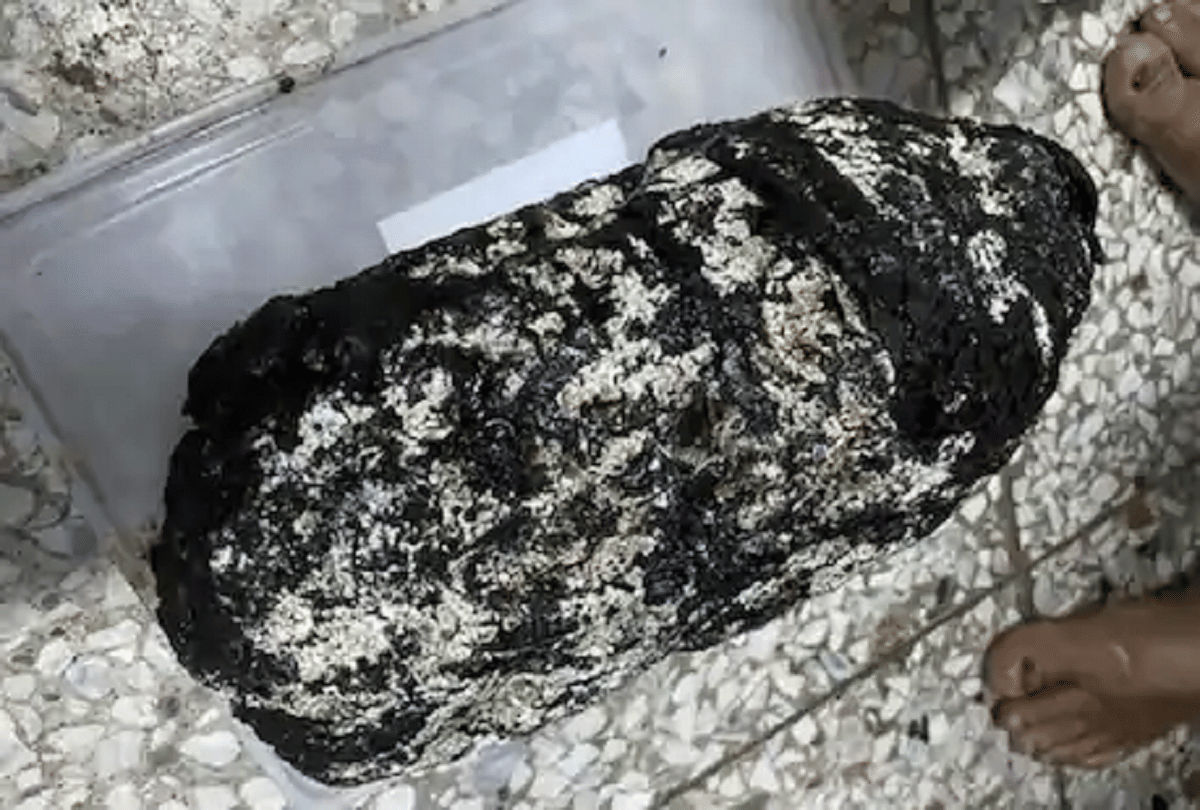 know interesting facts about ambergris why is whale vomit so expensive