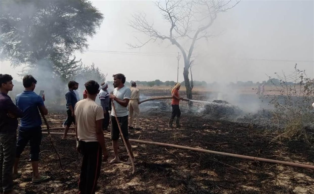 Hathras: burnt to ashes 21 bighas in fire at Garhi Naukas