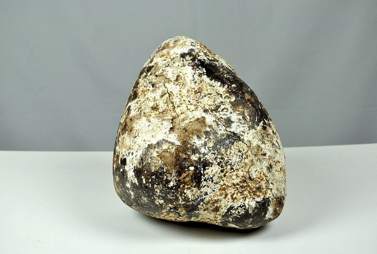know interesting facts about ambergris why is whale vomit so expensive
