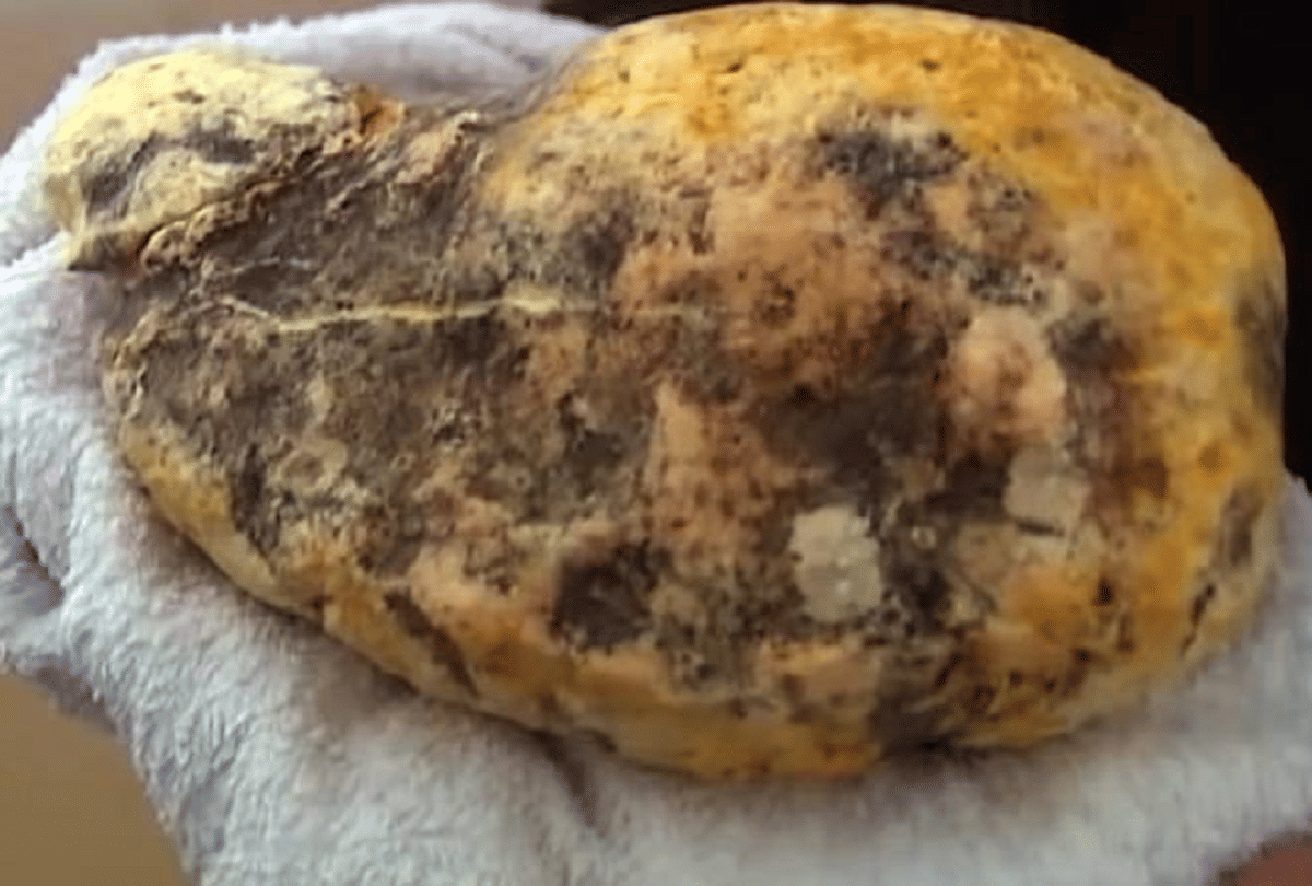 know interesting facts about ambergris why is whale vomit so expensive