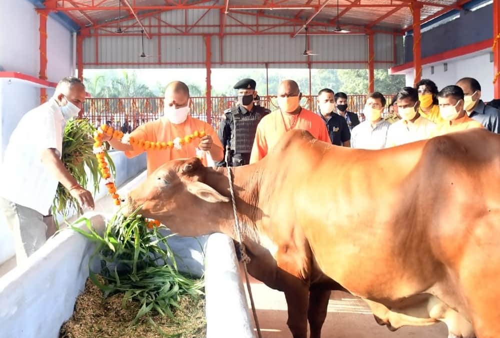 This is Yogi Adityanath starts navratri.