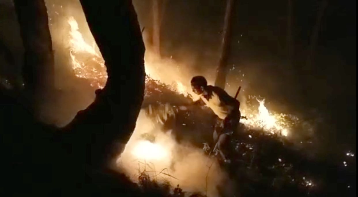 Forest department controlled the fire