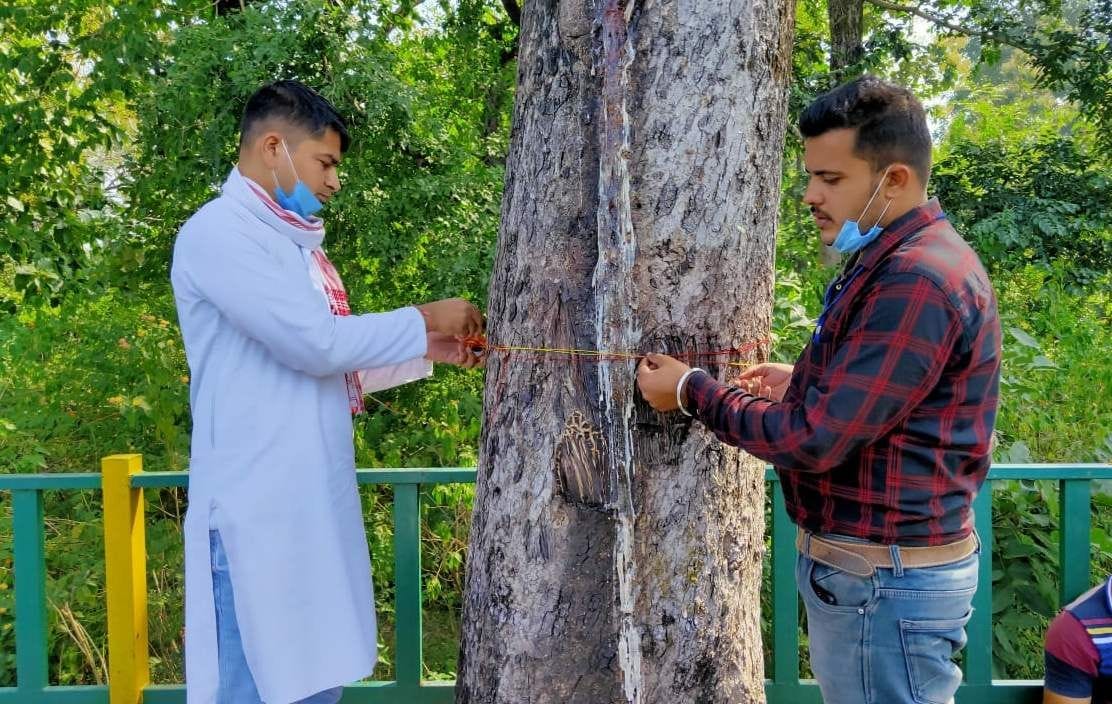Committee to protest for the conservation of trees