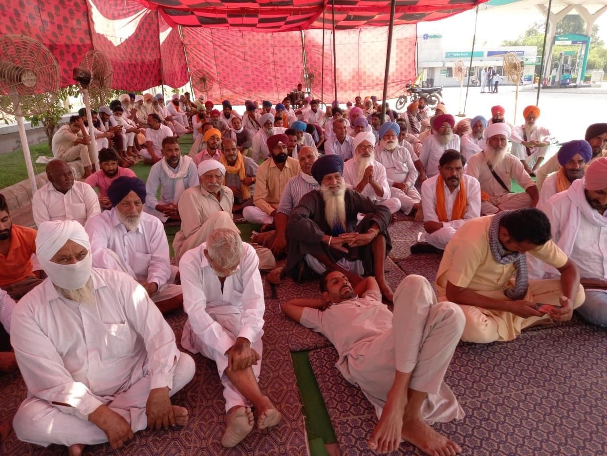 protest in jalalabad
