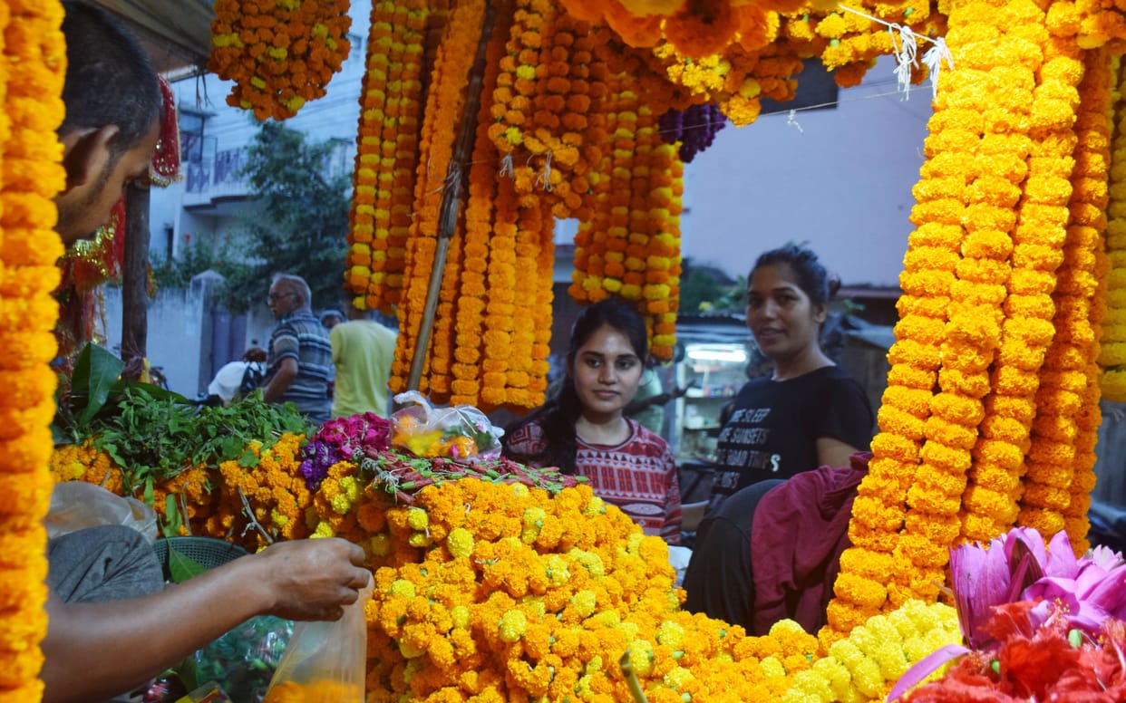 Prayagraj shardiya navratra celebration news