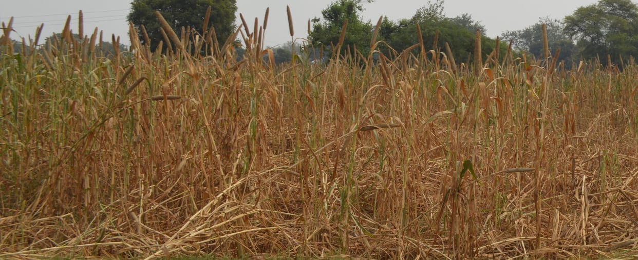 Hathras: Our country will be removed