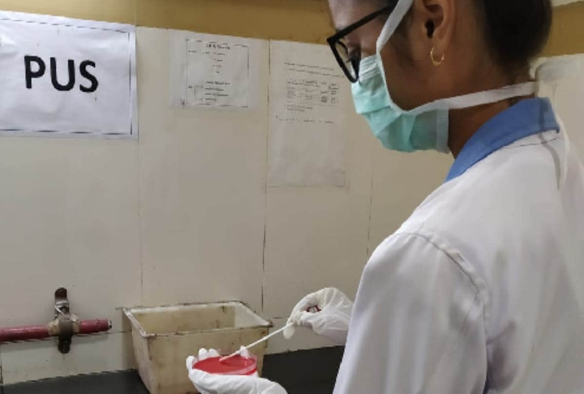 know about paramedical students who fight against corona