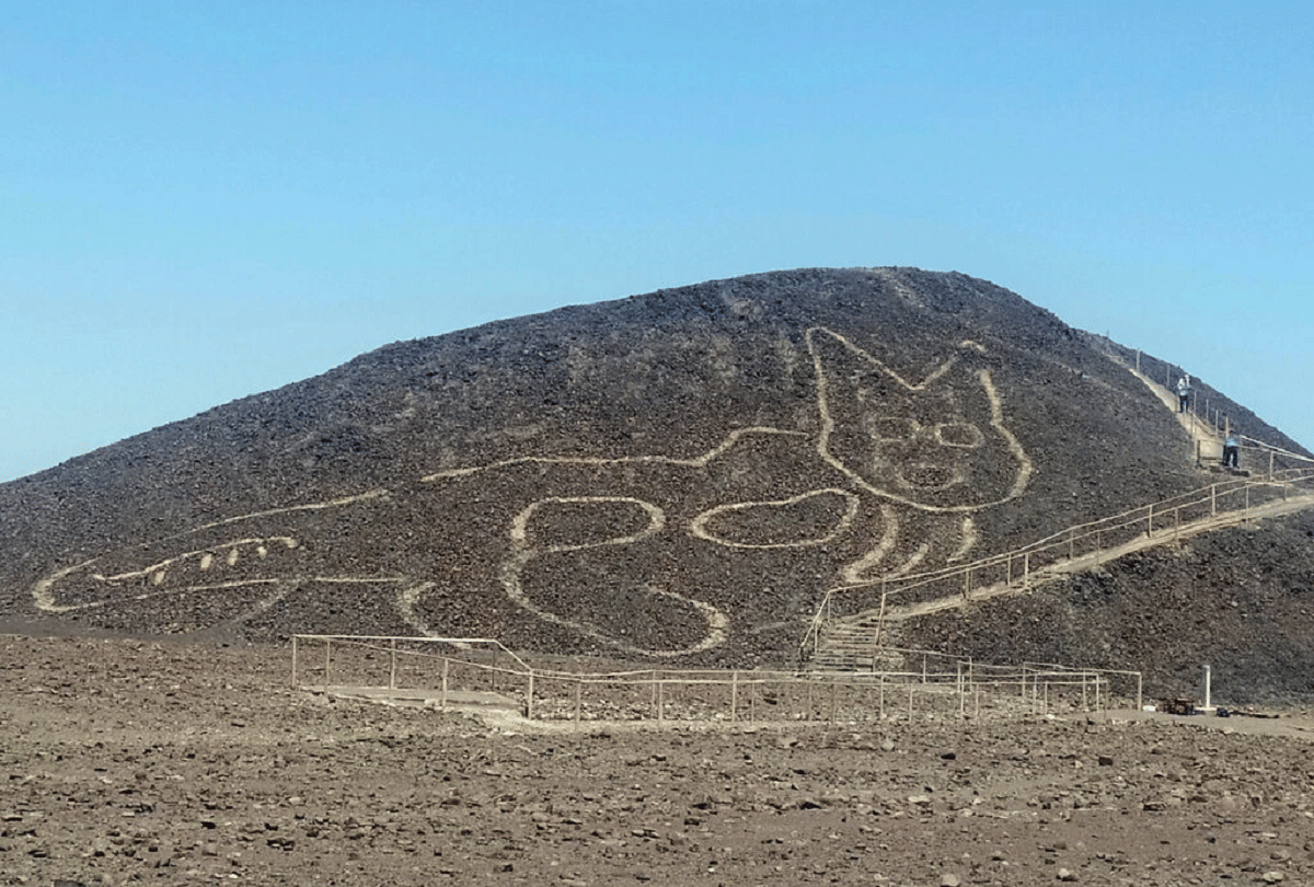 2200 year old cat etching found in Peru Nazca Lines largest deserts in the world