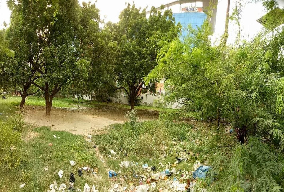 Investigation Of Ponds Park Built And Nursery Opened By Horticulture Department