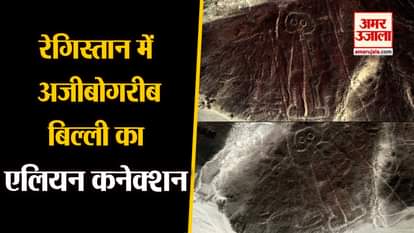 weird cat image appeared in peru nazca lines