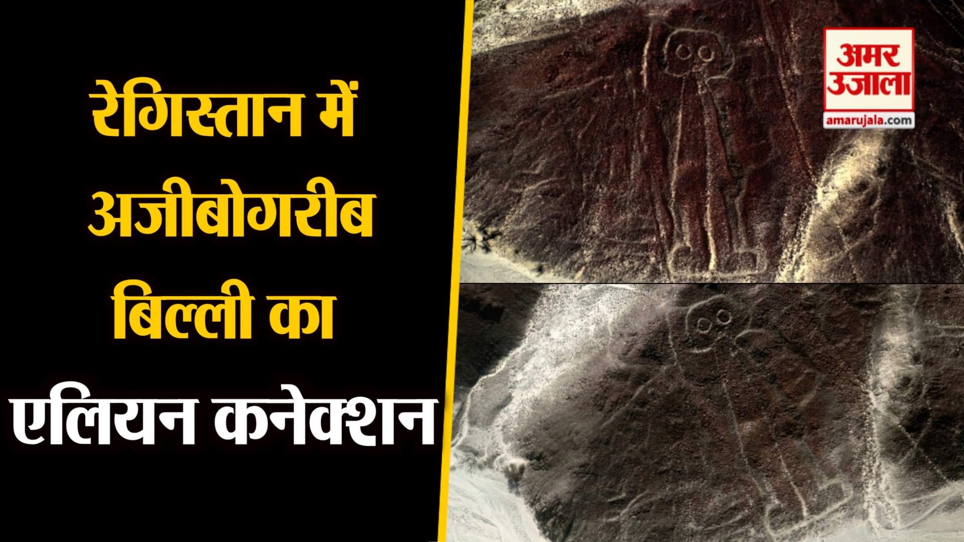 नाज्का लाइंस