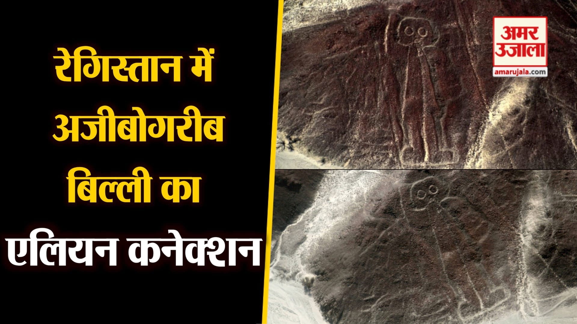 नाज्का लाइंस