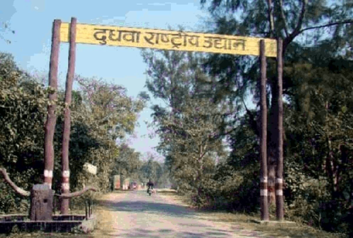   Dudhwa's gates will open for tourists from November 1, Kovid protocol will be strictly implemented