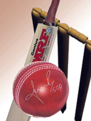 Cricket: 32 players from district will go for Mandal Trial