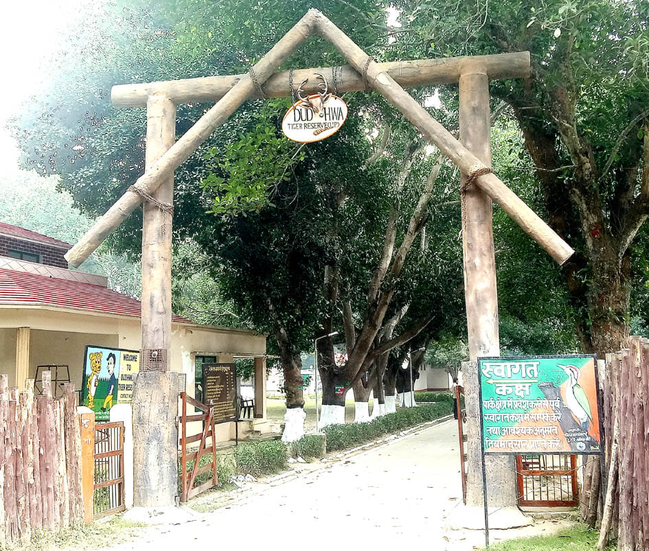 dudhawa jungal