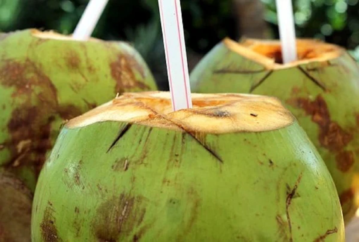 Health benefits of drinking coconut water in morning