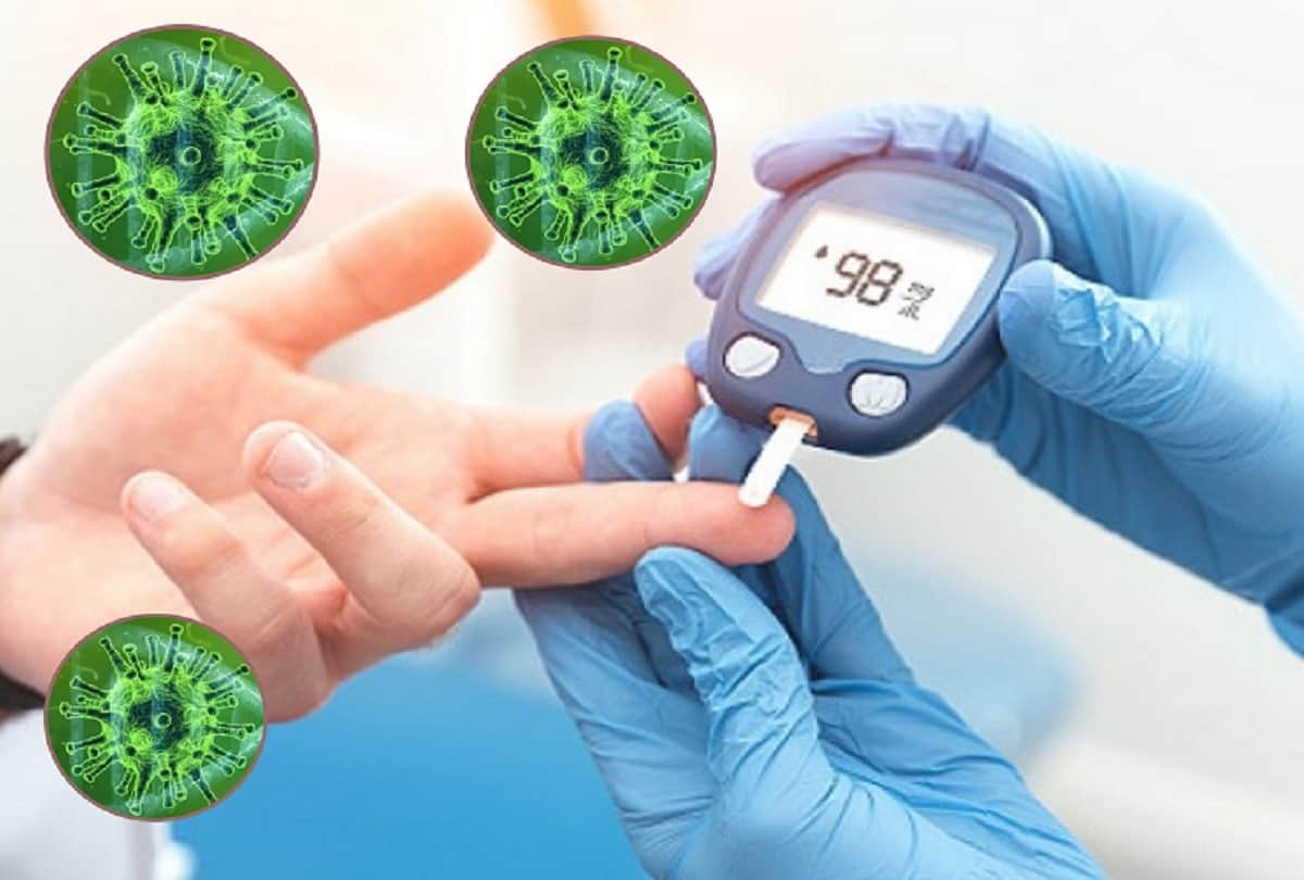 Coronavirus new study says antibodies lasts 8 months after covid 19 infection