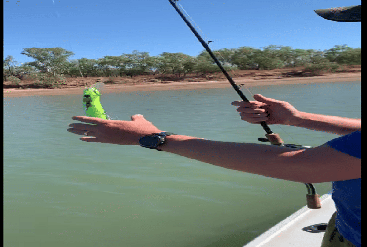 fisherman accidentally hooked a crocodile in australia video goes viral