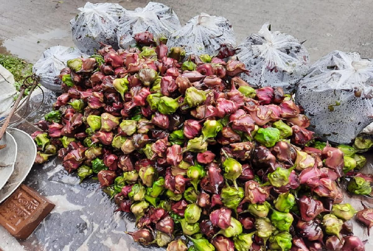 Health benefits of water chestnut in hindi