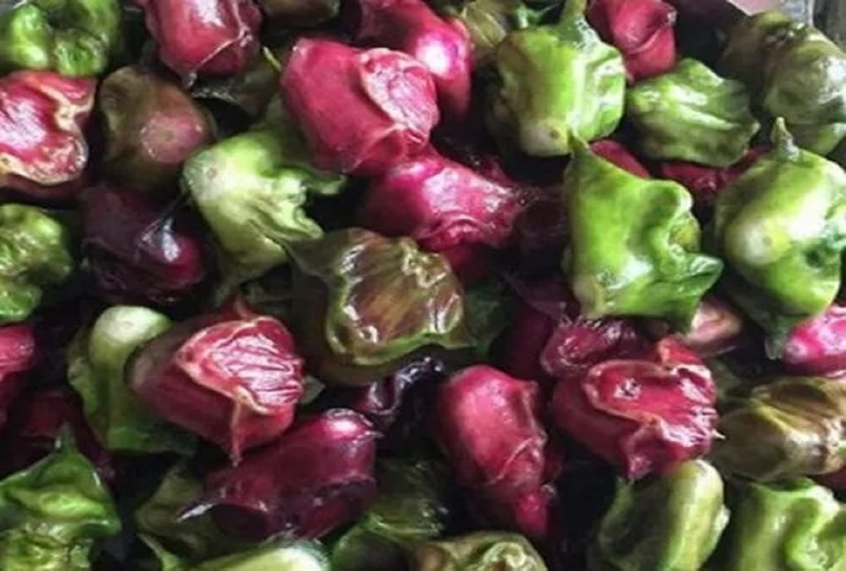 Health benefits of water chestnut in hindi