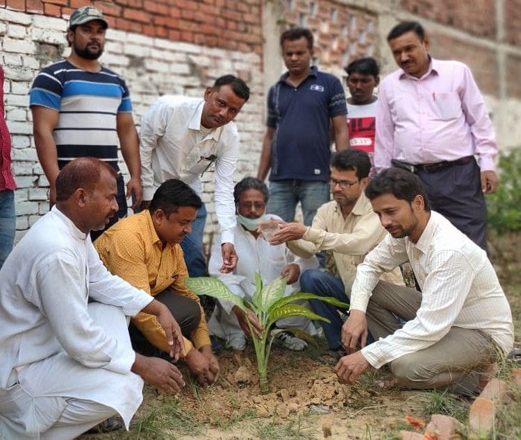 Plantation done on Ashfaq Ulla Khan's birth anniversary