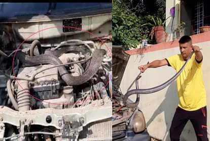 Cobra Enter in Car Bonnet After Weasel Attack on Him in dehradun, See Rescue Photos