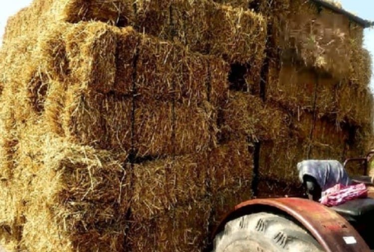 Haryana News: Haryana government will sell stubble to companies