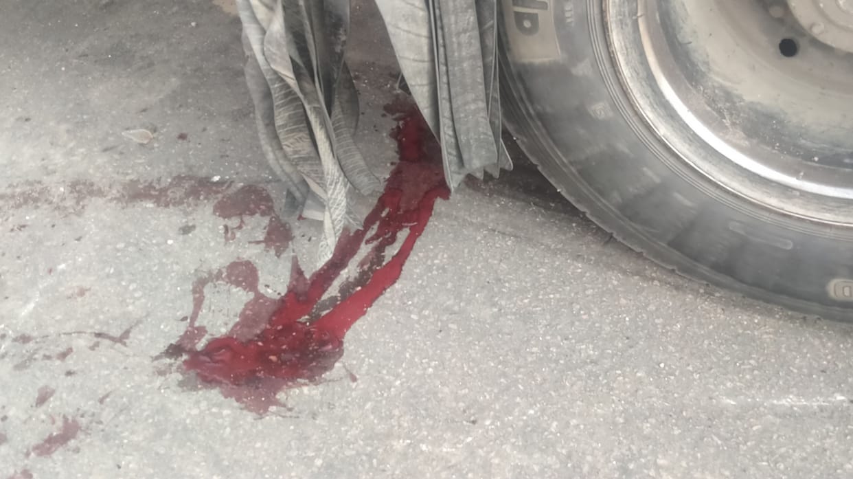 Meenu slips for 40 steps after the truck gets stuck in the rear tires