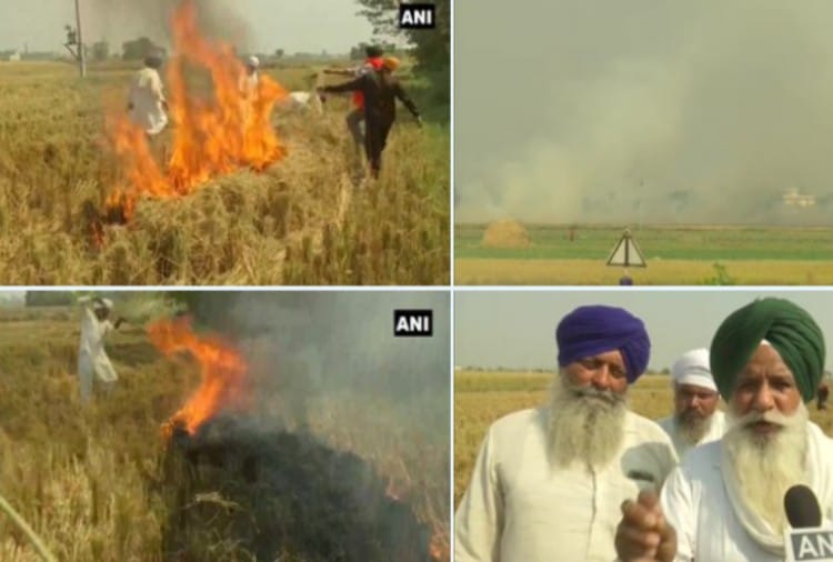 Stubble burning continues in Punjab, visuals from Amritsar