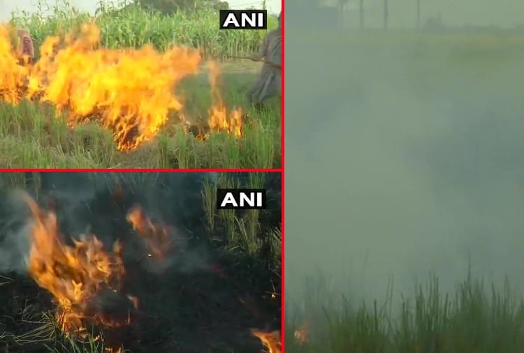 Stubble burning continues in Punjab, visuals from Amritsar