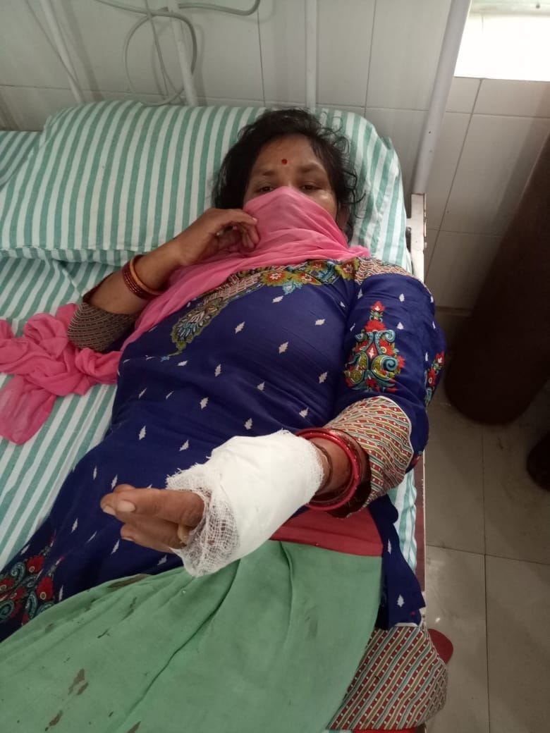 Three injured including women in tigress-leopard attacks