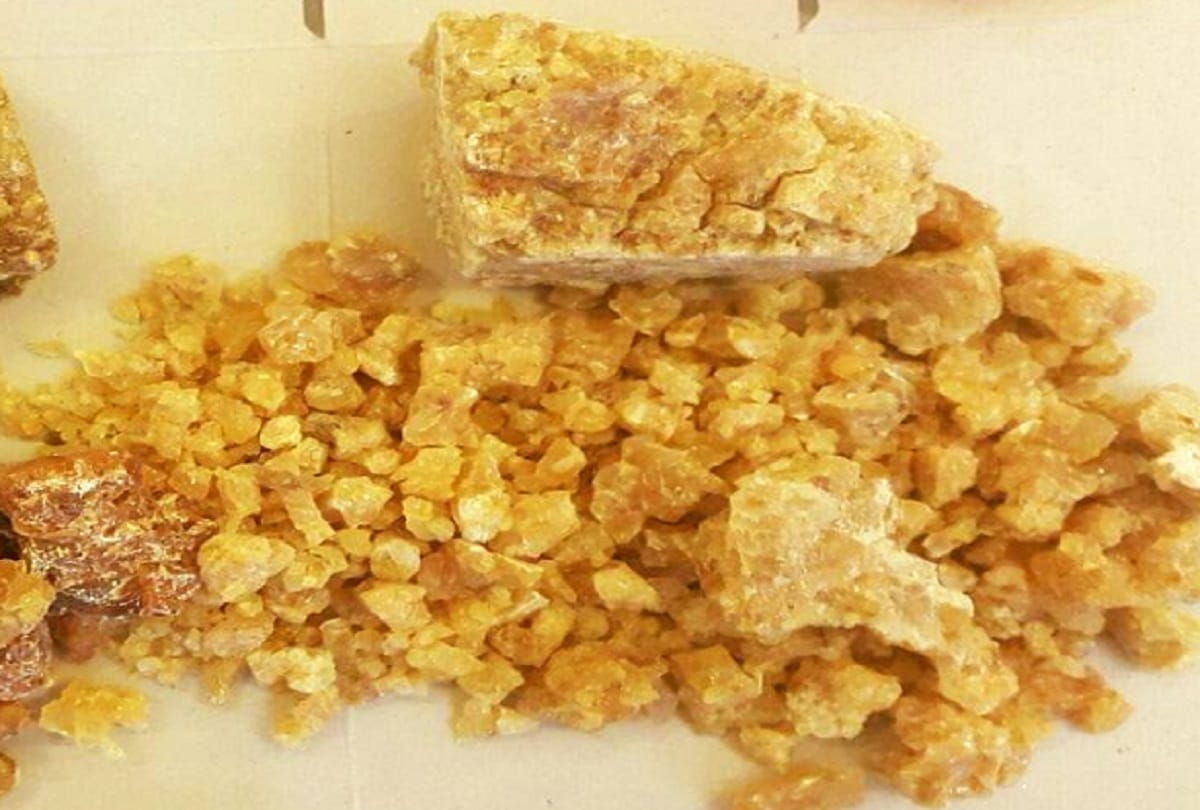 amar ujala exclusive : Uttarakhand is ready for asafoetida cultivation, can become a strong economic base