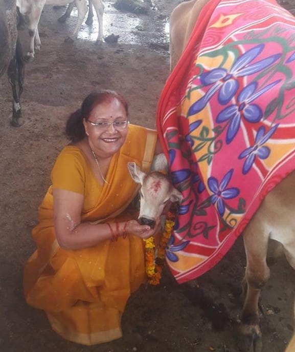 Vinod opens cowshed to serve the cow