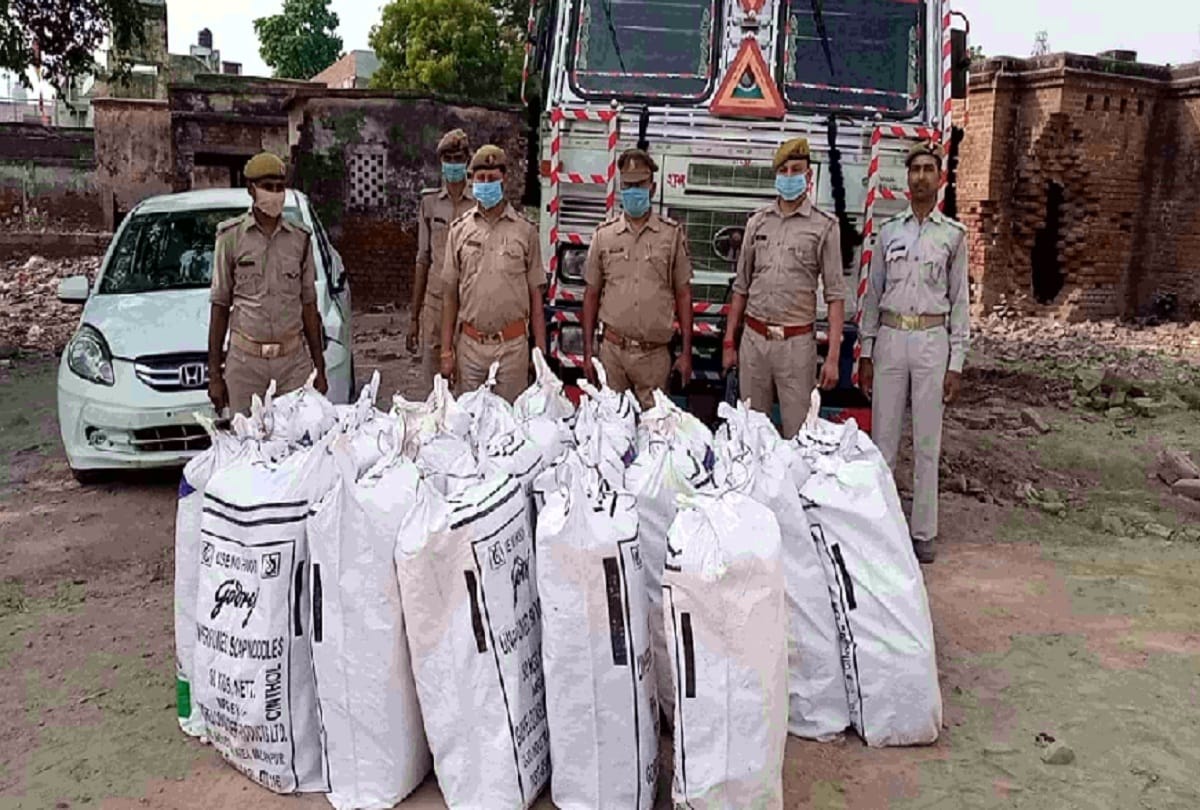 Police recovered 840 kg illegal hemp of Rs 1.25 crore in raid in hathras