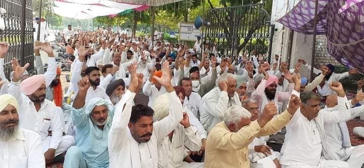 From today 11 farmers will sit on gradual hunger strike
