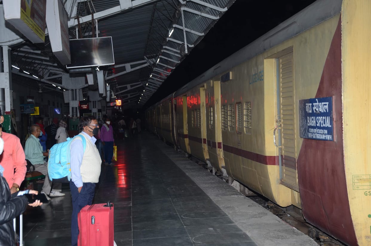 Operation of tiger festival special train started