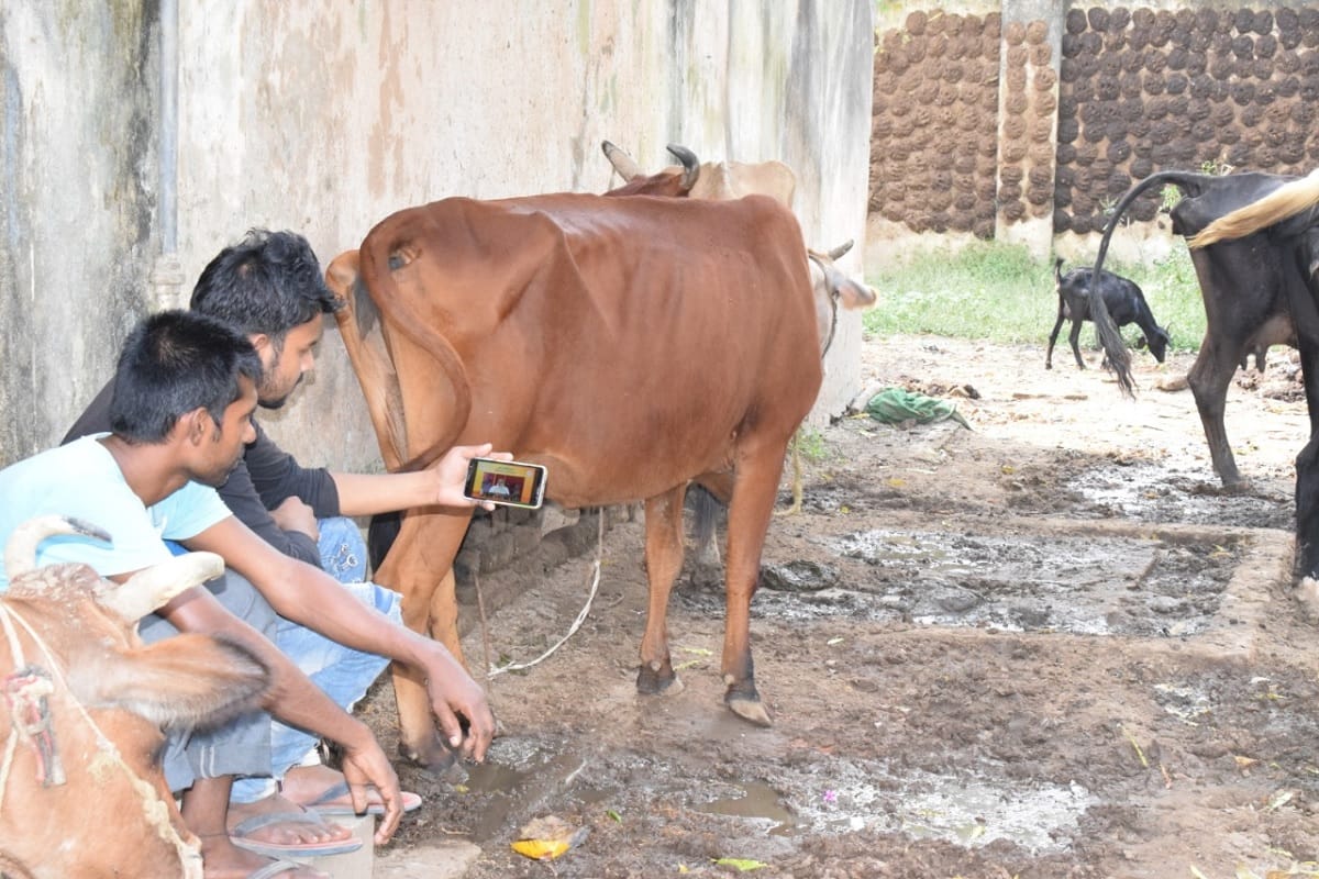 People watched speech of PM Modi in Bihar Election on their phones and TV in villages and towns