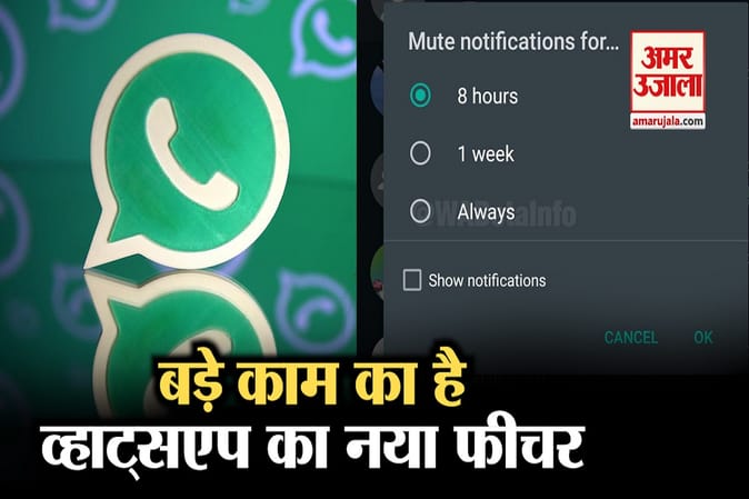 आ गया व्हाट्सएप का नया फीचर, अब कीजिए अनचाही चैट को बाय !