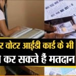 वोट के लिए दस्तावेज