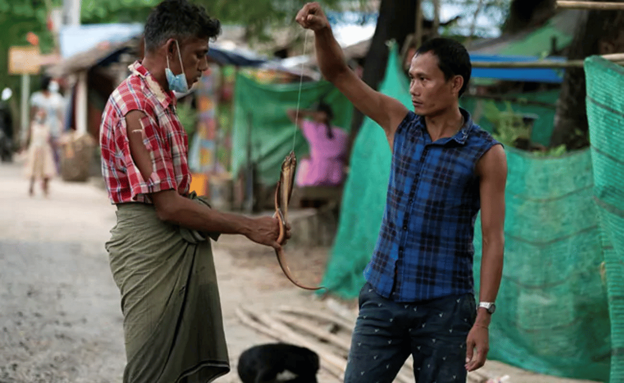 Myanmar starving people searching for food from drains, eating snakes and rats