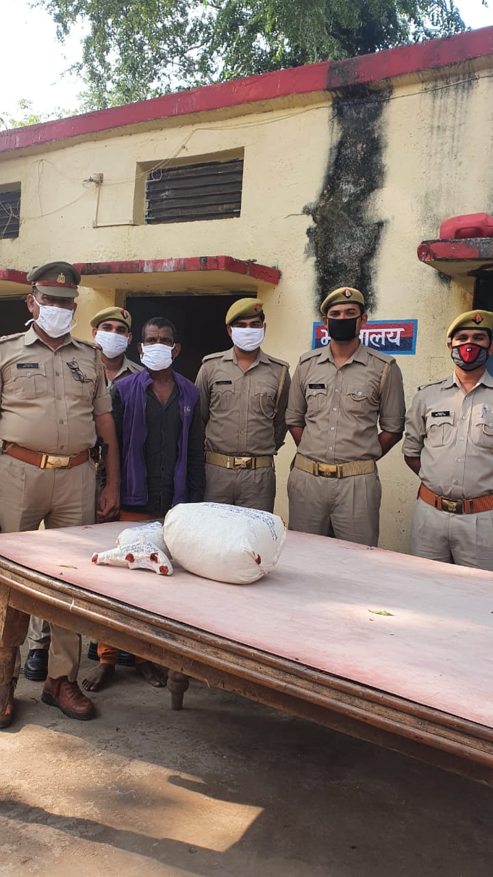 one kg 200 gram ganja recovered