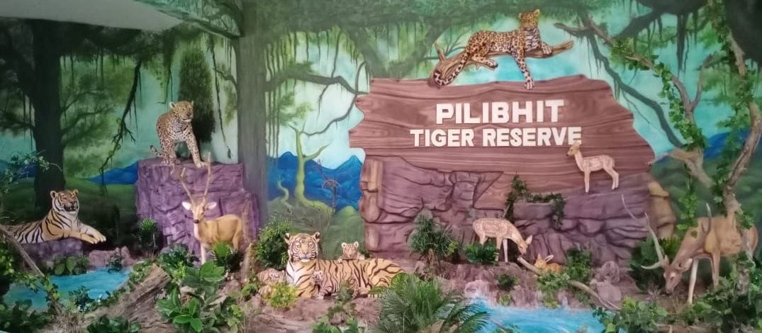 tiger reserve