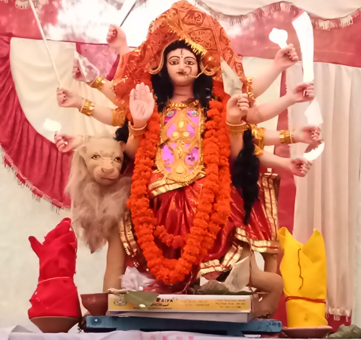 Devotees worshiped in Durga Puja pandals