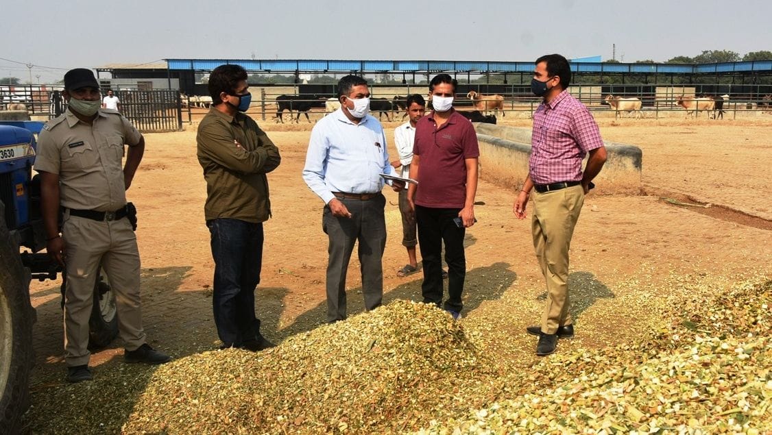 inspection, cow seltor, dc, sonipat