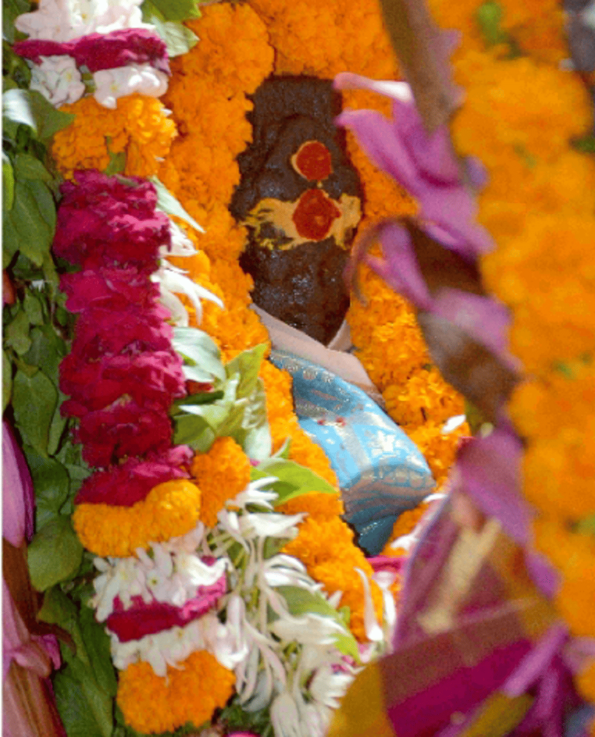 Baba Vishwanath rests intemple of Maa Vishalakshi description is also found in Dev Purana South Indian style temple