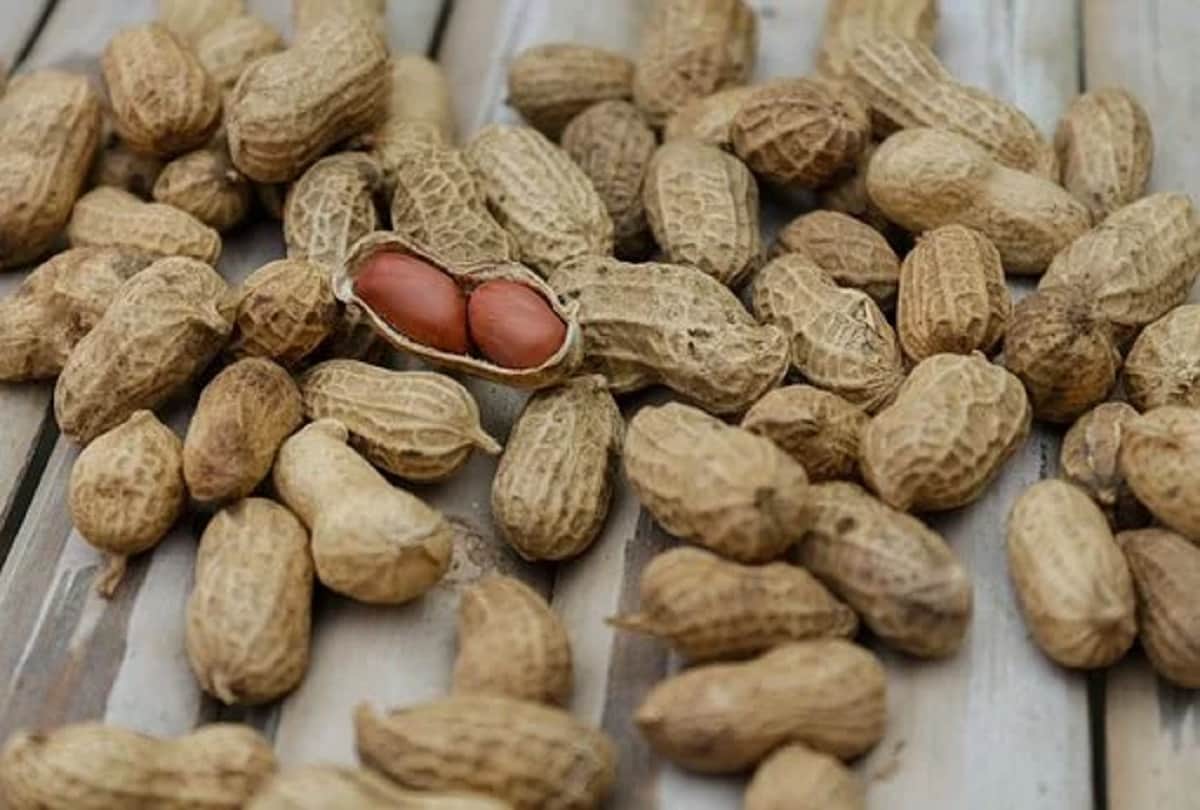 Do not eat these things to avoid fungal infection diet in hindi