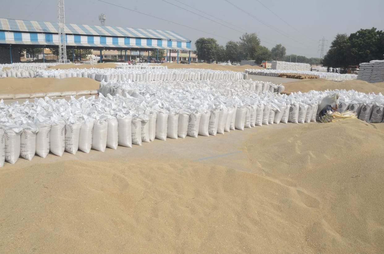 13.53 crore paid in the accounts of farmers selling millet, 36.31 crore still outstanding